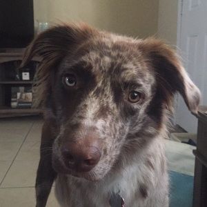 Meet your Posher, Tammy